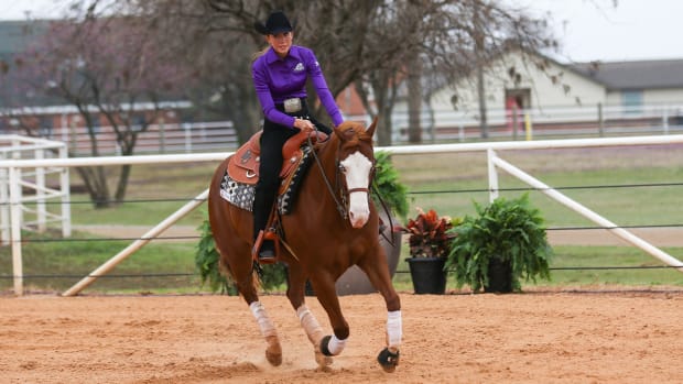 TCU Equestrian
